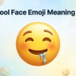 Drool Face Emoji Meaning